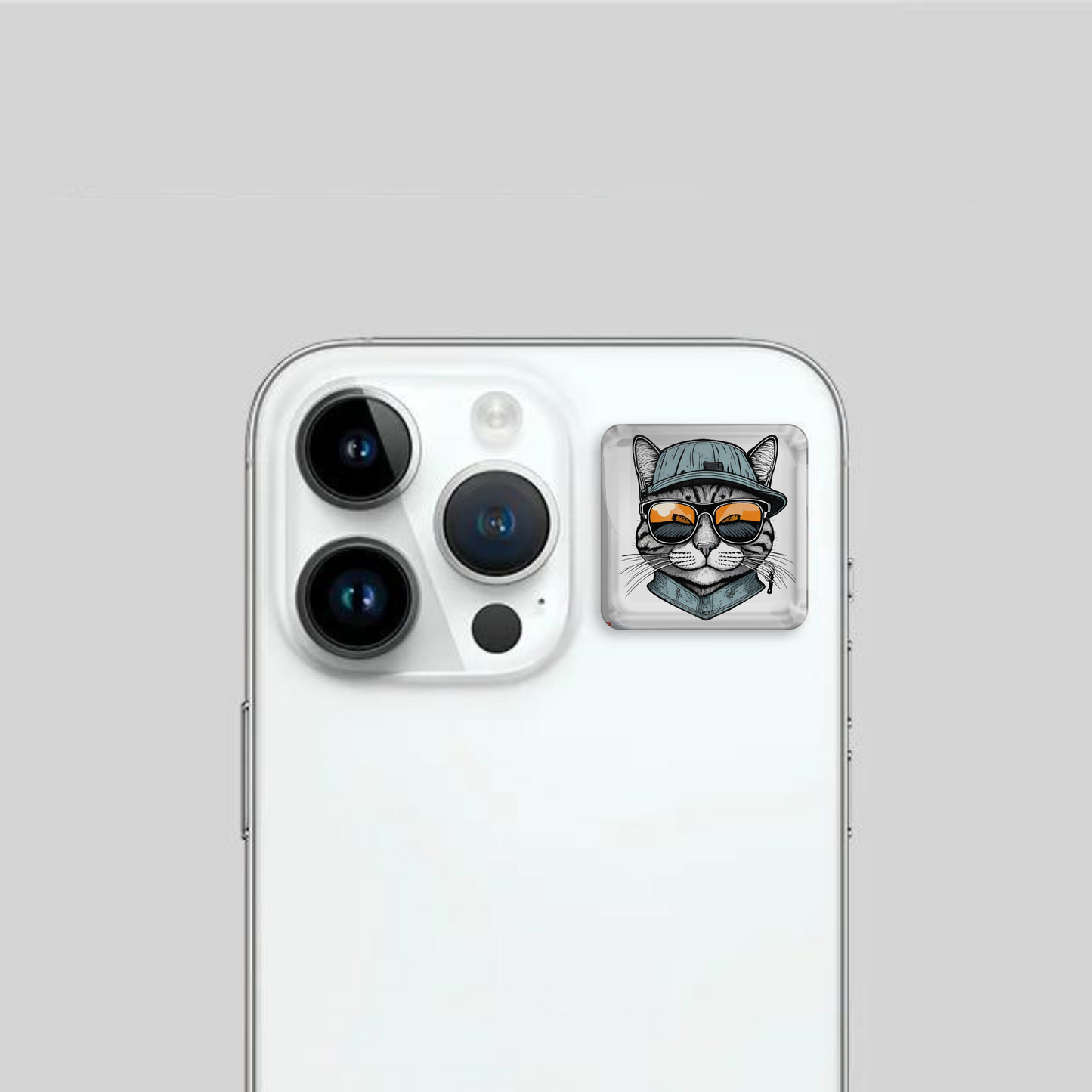 Cool Cat