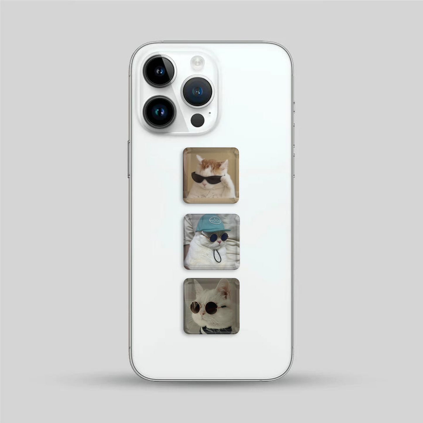 Cool Cat Pack