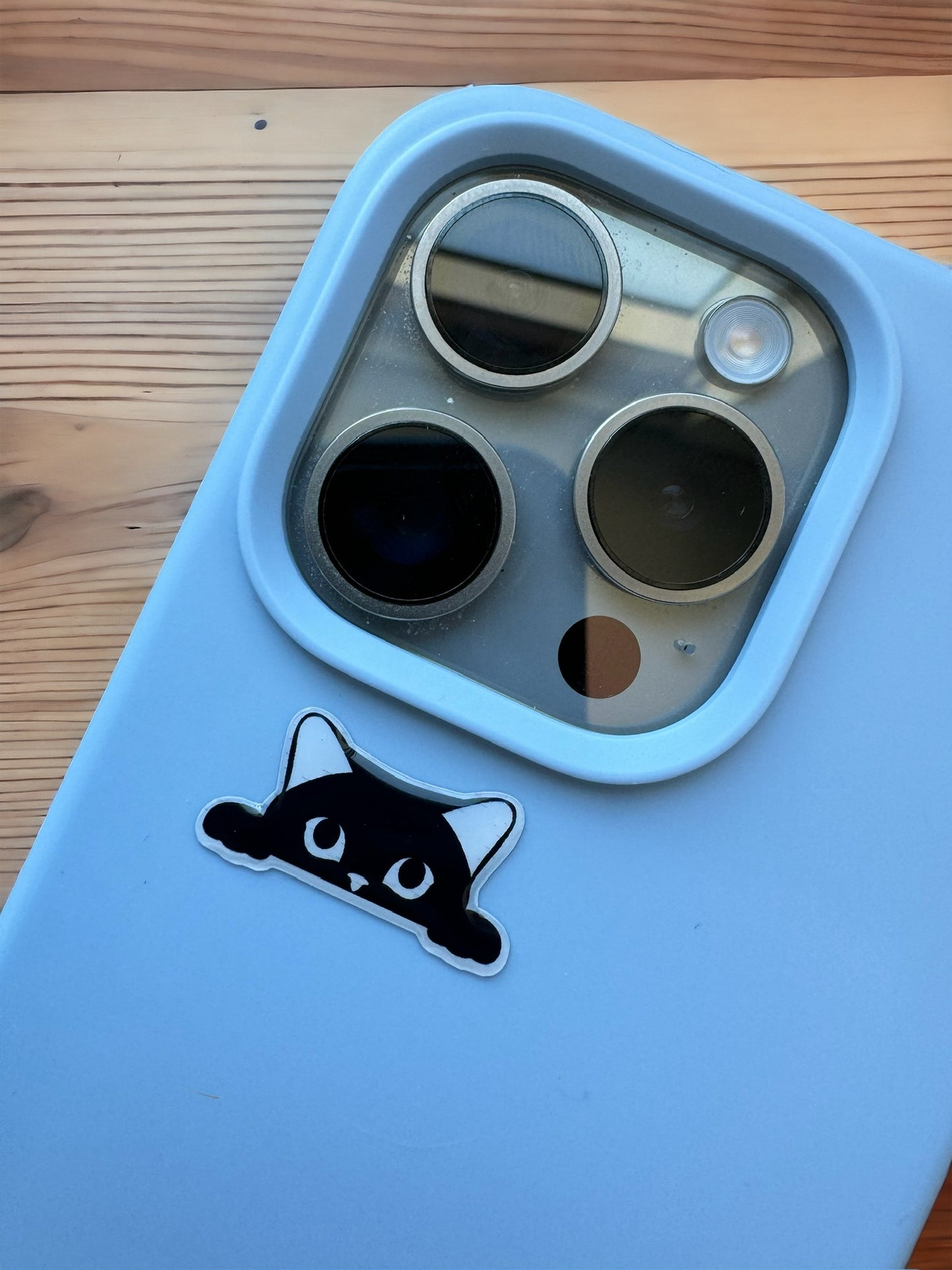Peeking Cat