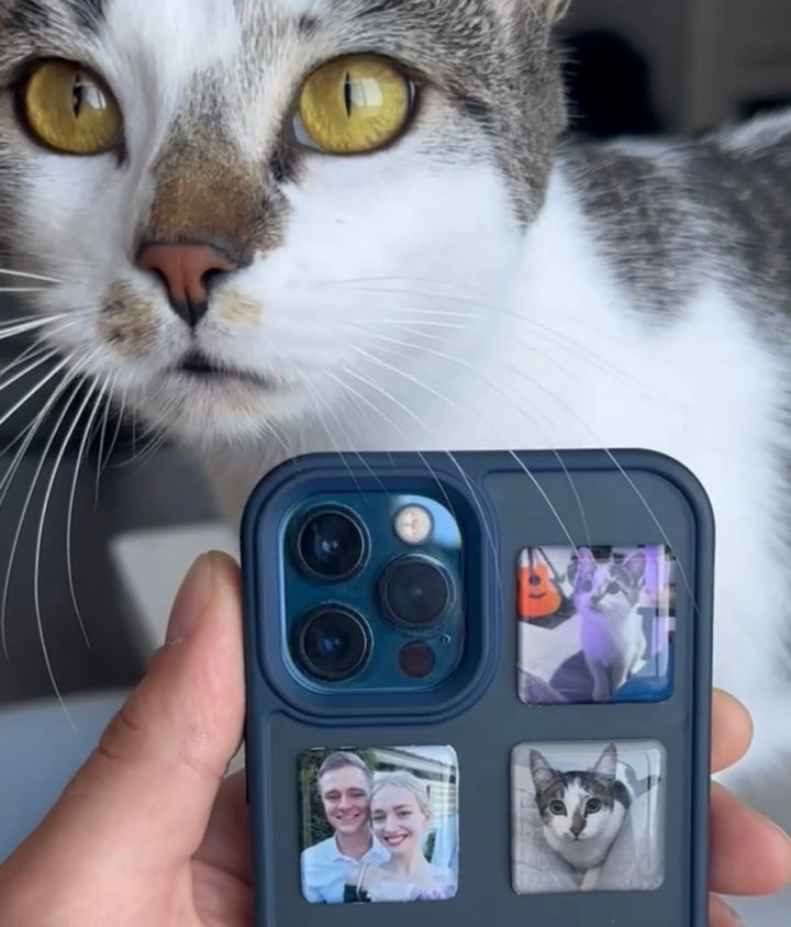 yes that's the cat. obviously.